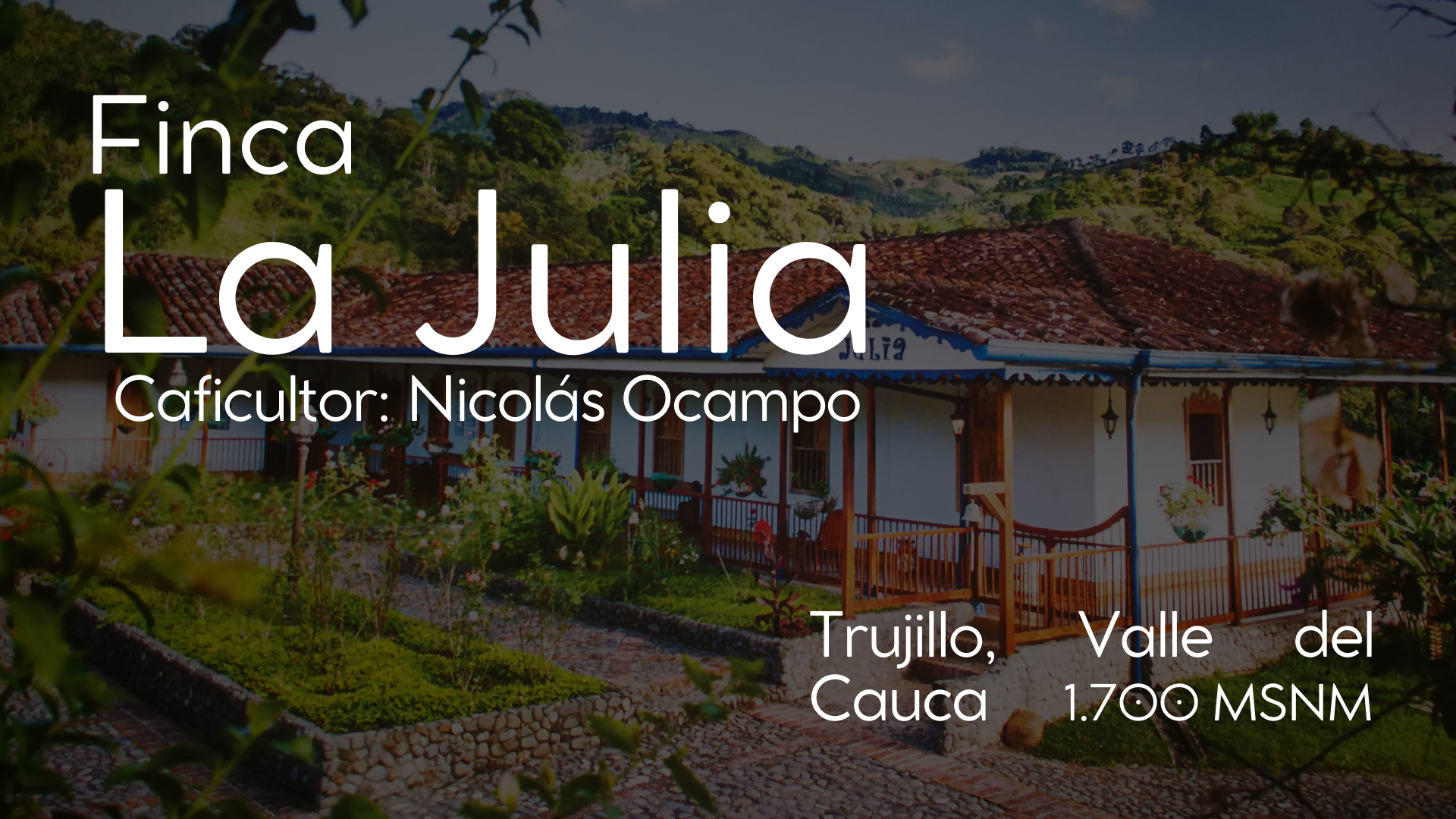 Fichas Fincas - 1