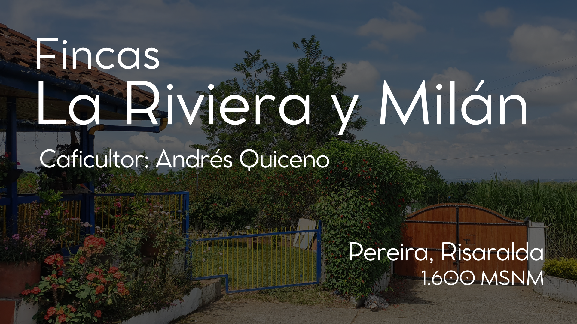 Fichas Fincas - 3