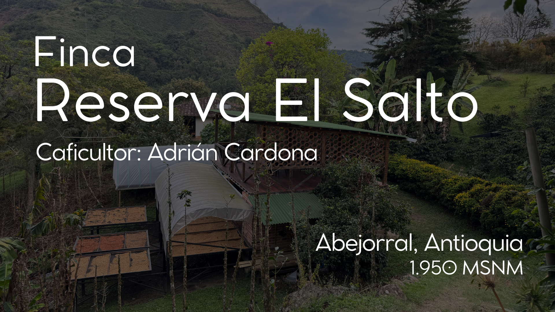 Fichas Fincas - 4