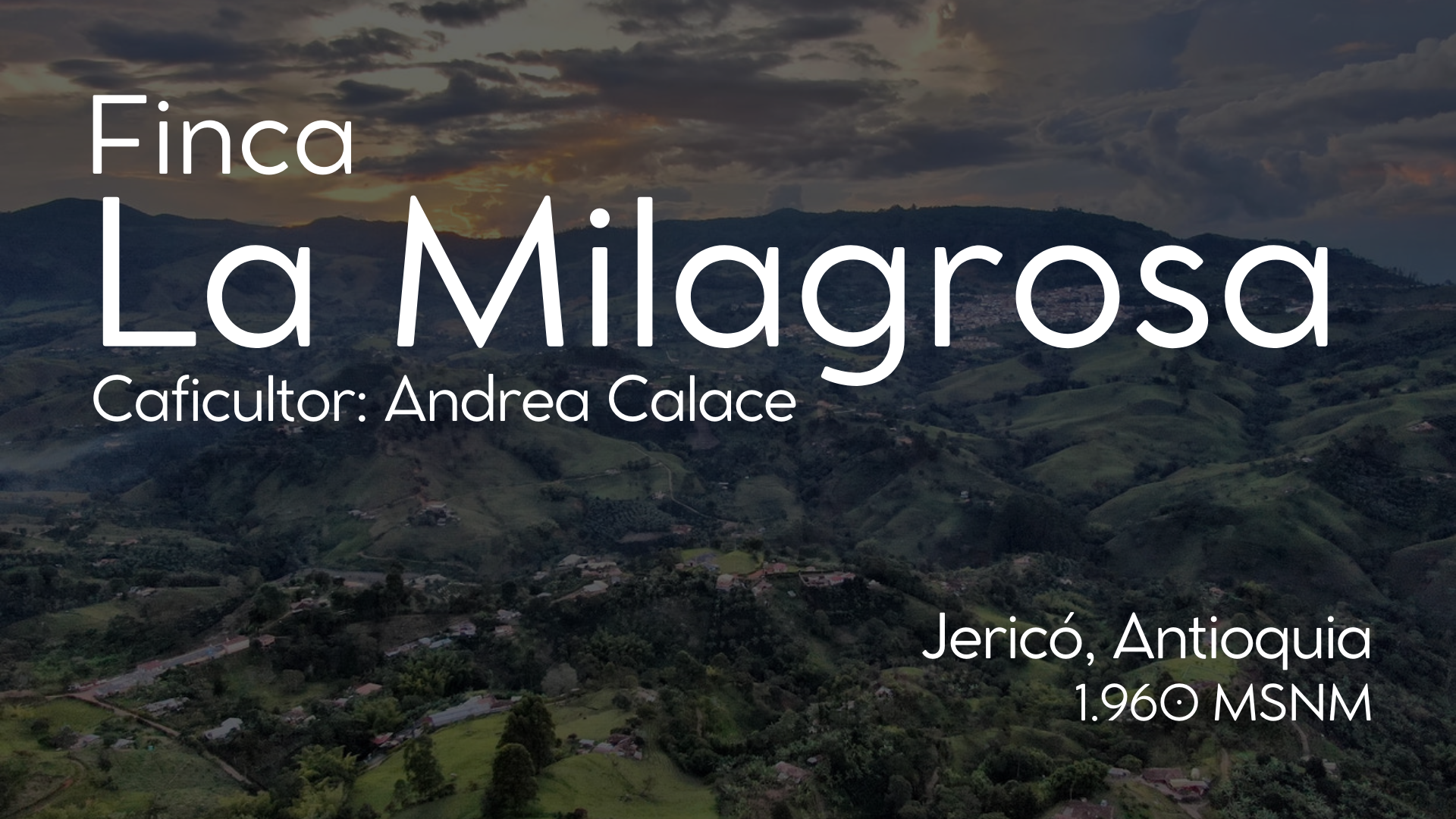 Fichas Fincas - 6